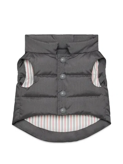 Thom Browne Striped Football Dog Vest In Gray