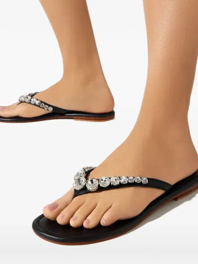 Mystique Crystal-embellished Sandals In Black