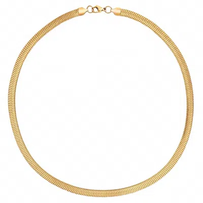 Ellie Vail Women's Paola Herringbone Necklace In Gold In Gold