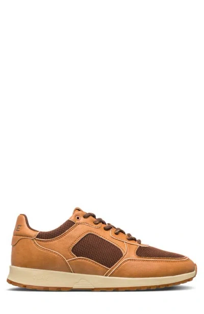 Clae Joshua Sneaker In Brown