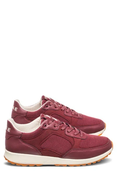 Clae Joshua Sneaker In Burgundy