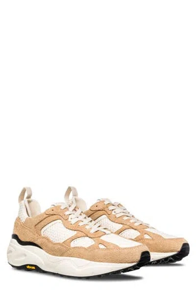 Clae Salazar Sneaker