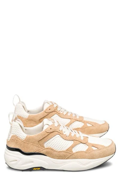 Clae Salazar Sneaker