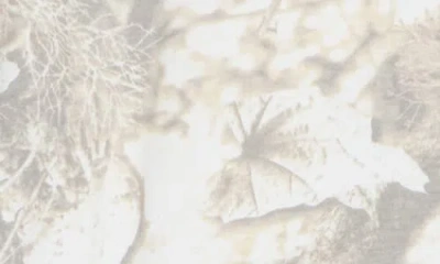 Goodie Two Sleeves West Coast Choppers Graphic T-shirt In Silver