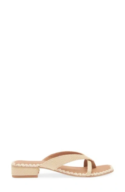 Dolce Vita Billie Sandal In Brown