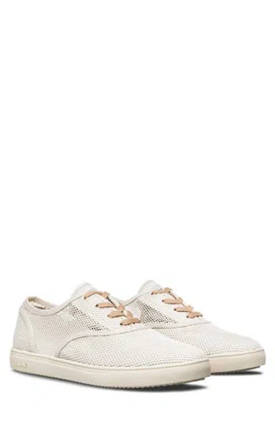 Clae Bruce Knit Low Top Sneaker In White