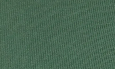 Halogen ® Fitted Ribbed Tank Top In Green