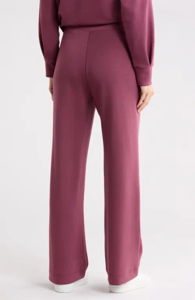 T Tahari Rose Embroidered Scuba Knit Pants In Purple