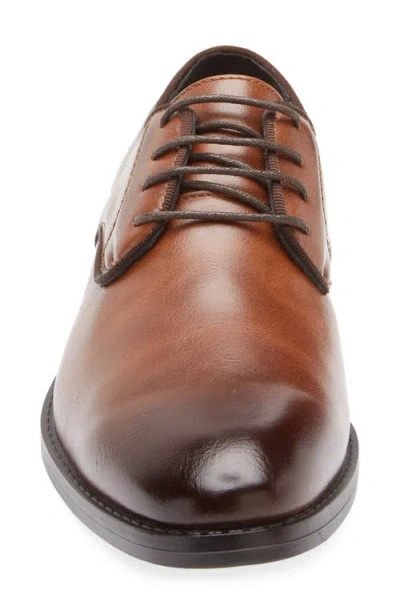 Geoffrey Beene Oxford In Brown