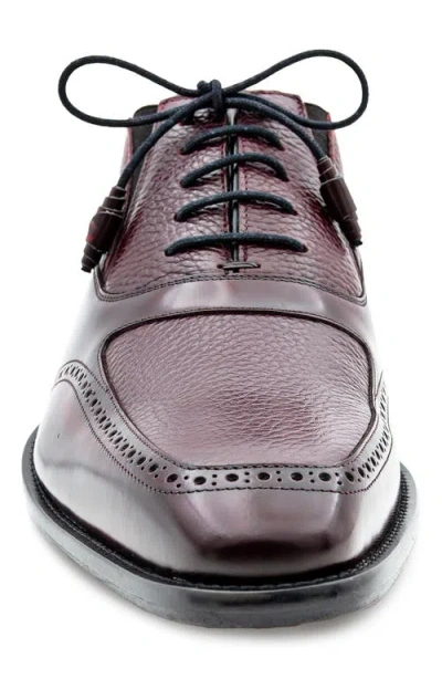 Mezlan Brogue Apron Toe Oxford In Multi