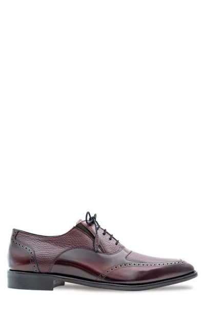 Mezlan Brogue Apron Toe Oxford In Multi