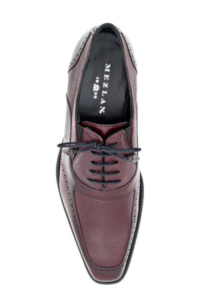 Mezlan Brogue Apron Toe Oxford In Multi