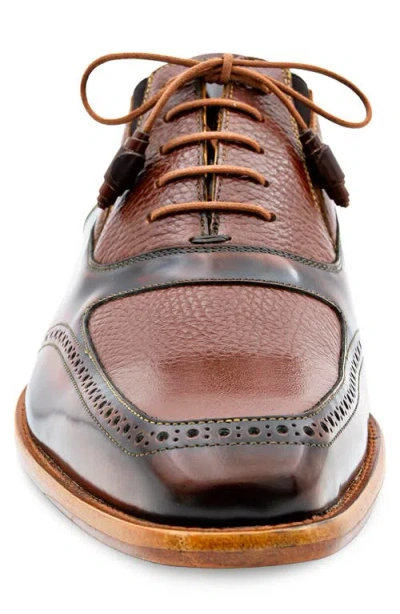Mezlan Brogue Apron Toe Oxford In Multi