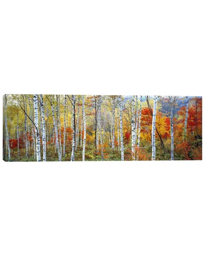 Icanvas Fall Trees In Multi