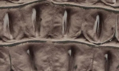 Brahmin Cordelia Croc Embossed Leather Wallet In Brown