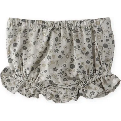 Pehr Ruffle Organic Cotton Bloomers In Gray