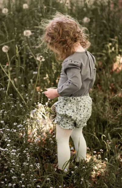 Pehr Ruffle Organic Cotton Bloomers In Gray