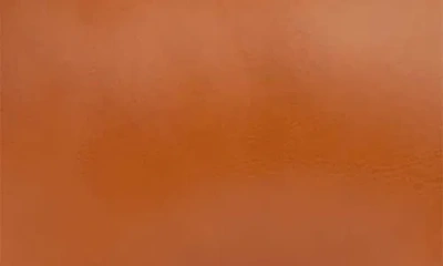 Zuny Elephant Giant Decoration In Brown