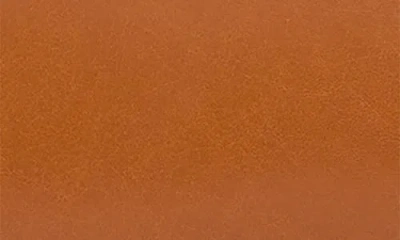 Zuny Teckel Doorstop In Brown