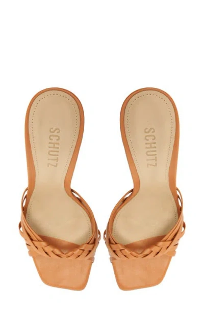 Schutz Women Tara Stiletto Heel Sandals In Brown