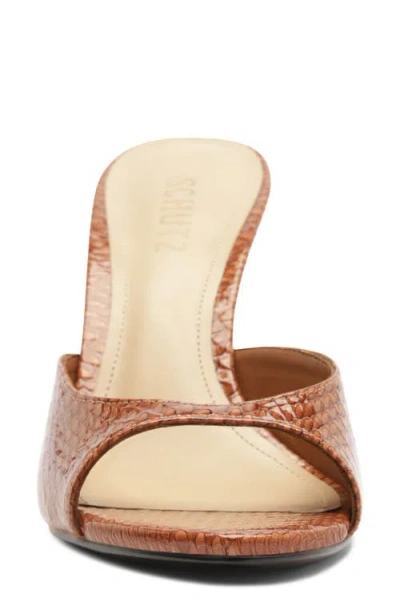 Schutz Clea Slide Sandal In Brown