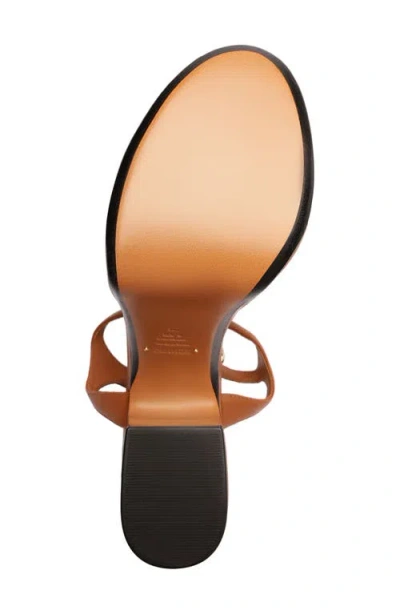 Schutz Lys Ankle Strap Platform Sandal In Brown