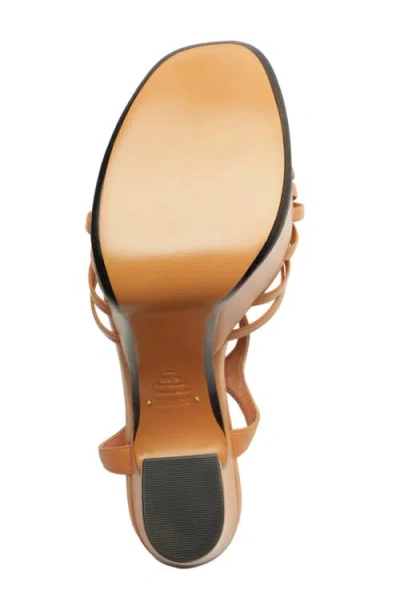 Schutz Tara Platform Ankle Strap Sandal In Brown