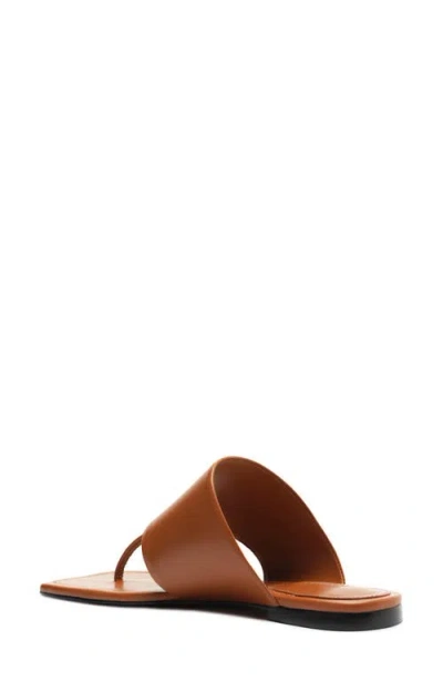 Schutz Martha Slide Sandal In Brown