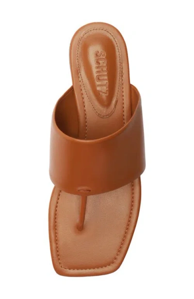 Schutz Martha Slide Sandal In Brown