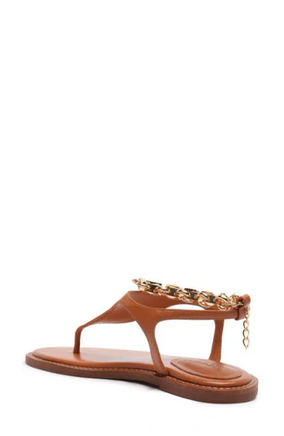 Schutz Lys Ankle Strap Slide Sandal In Brown