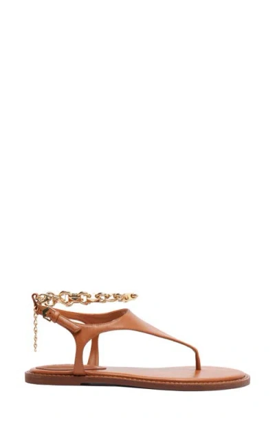 Schutz Lys Ankle Strap Slide Sandal In Brown