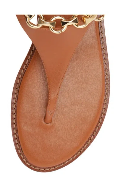 Schutz Lys Ankle Strap Slide Sandal In Brown