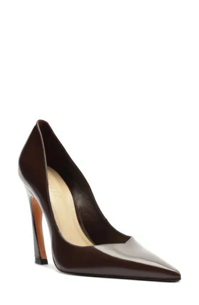 Schutz Lexi Pointed Toe Pump In Brown