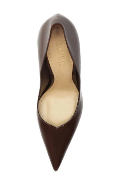 Schutz Lexi Pointed Toe Pump In Brown