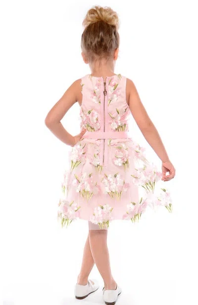 Truly Me Kids' Embroidered Party Dress In Multi