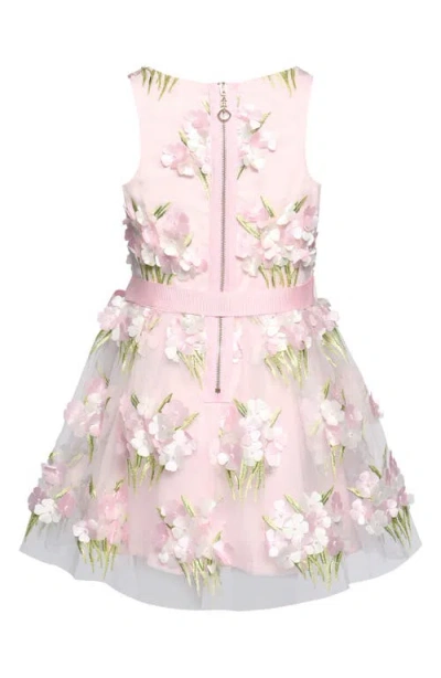 Truly Me Kids' Embroidered Party Dress In Multi