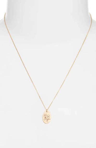 Set & Stones Louise Birth Flower Necklace In Gold