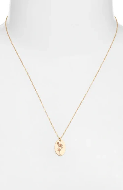 Set & Stones Louise Birth Flower Necklace In Gold
