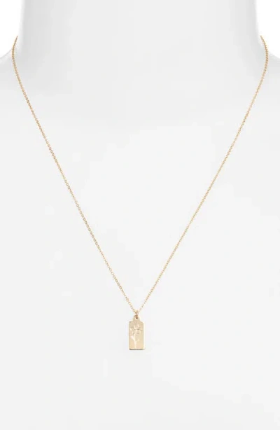 Set & Stones Tawney Birth Flower Pendant Necklace In Brown