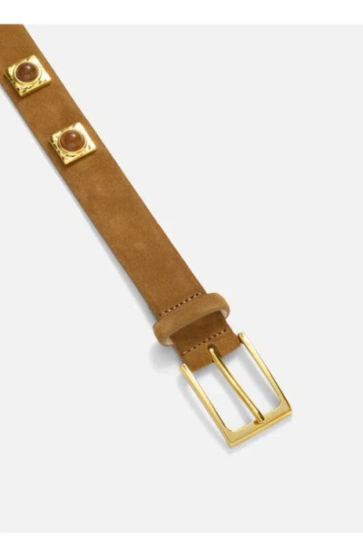 Aureum No. 2 Stud Leather Belt In Brown