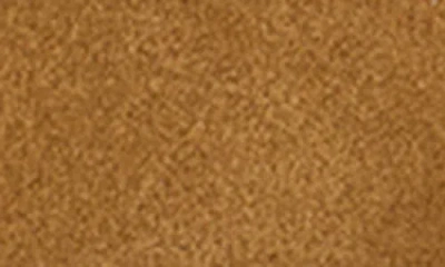 Aureum No. 2 Stud Leather Belt In Brown