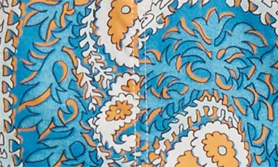 Etro Paisley Print Pleated Fit & Flare Cotton Poplin Midi Dress In Multi