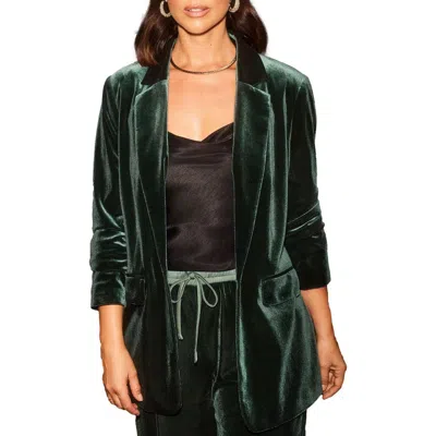 Friends Like These Shimmer Velvet Blazer In Green