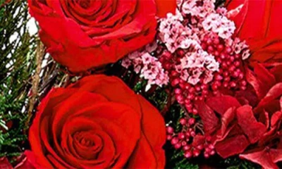 Venus Et Fleur L'étoile Grand Rouge Wreath In Red