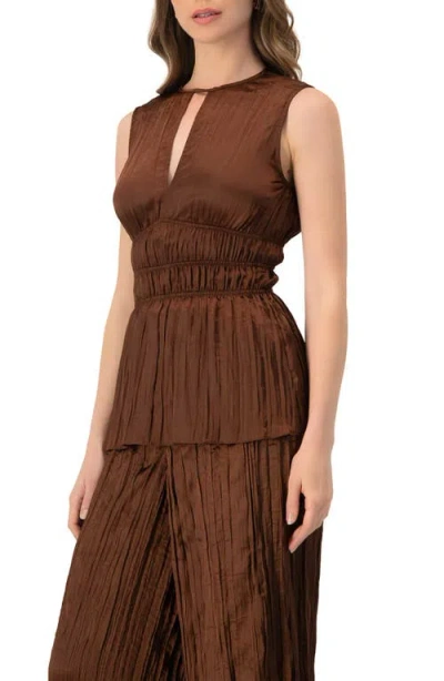 Ivonne Satin Sleeveless Pleated Blouse In Brown