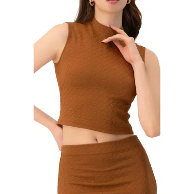 Ivonne Knit Sleeveless Crop Top In Brown