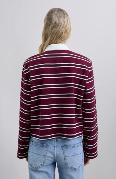 Scalpers Corporatepolo Tee In Burgundy