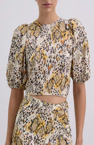 Scalpers Aniyelpu Top In Multi