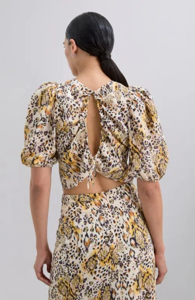 Scalpers Aniyelpu Top In Multi