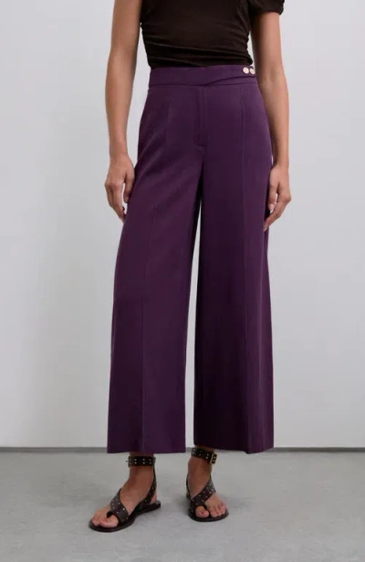 Scalpers Purple Pant In Purple